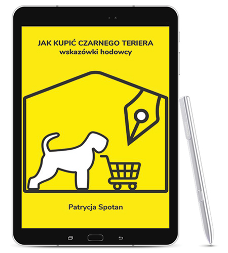ebook.2